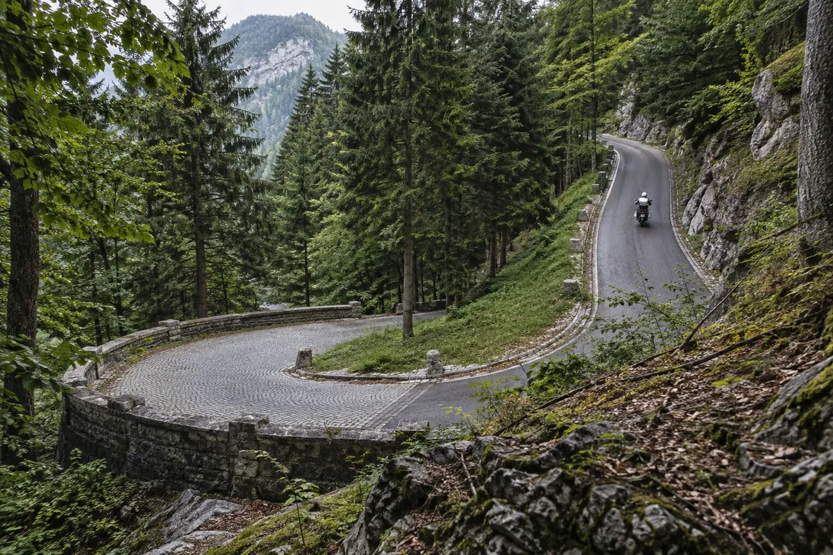 Successive bends climb through alpine forest on a narrow paved road.